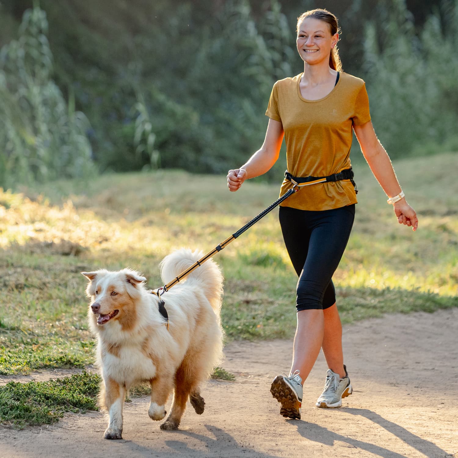 Rogz AirTech Sport belt and lead