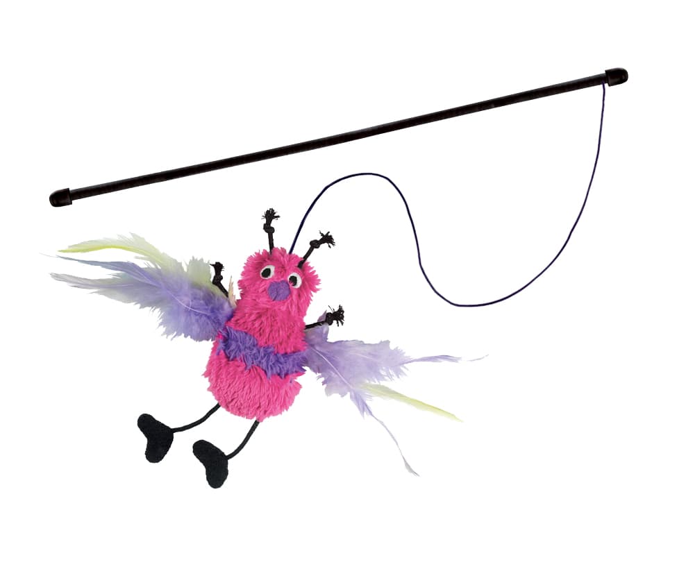 KONG feather teasesr toy
