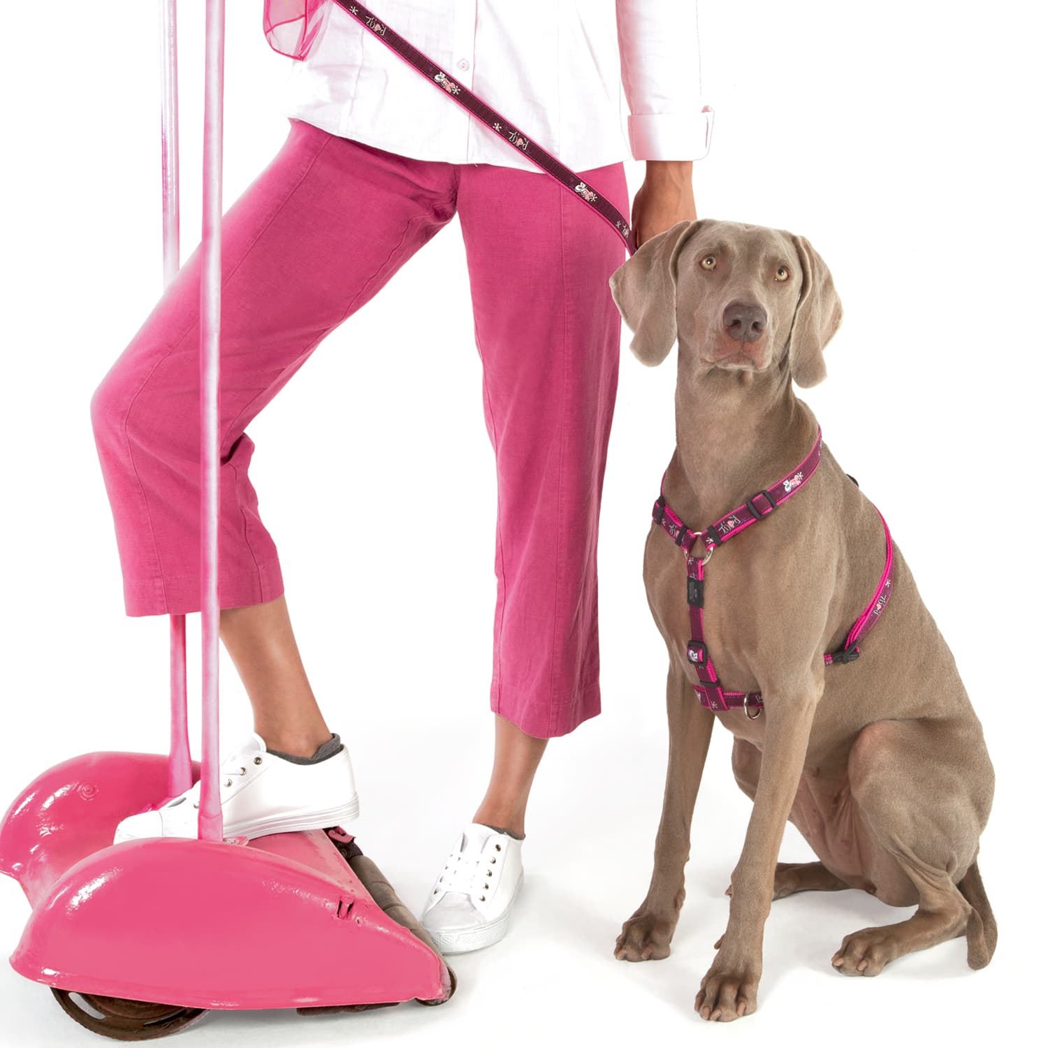 Rogz Fancy Dress classic lead