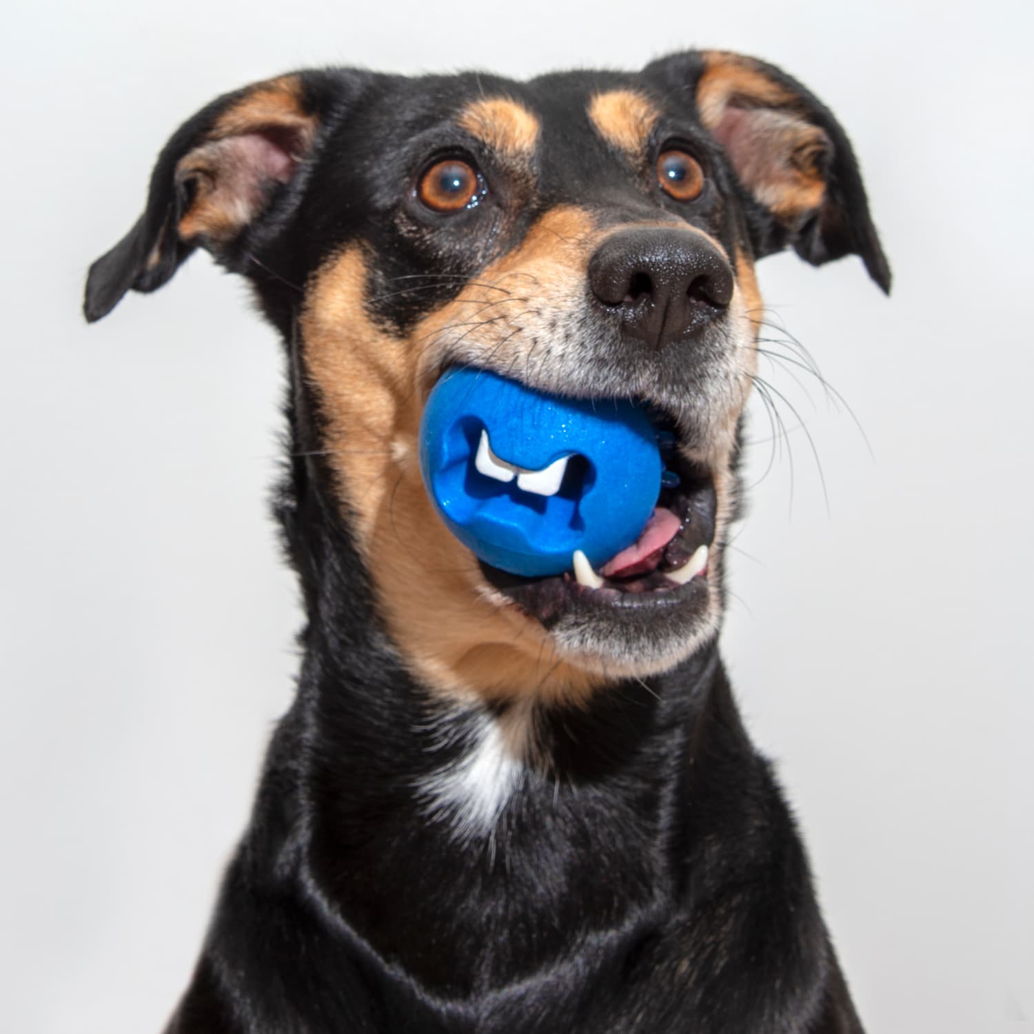 Rogz treat ball