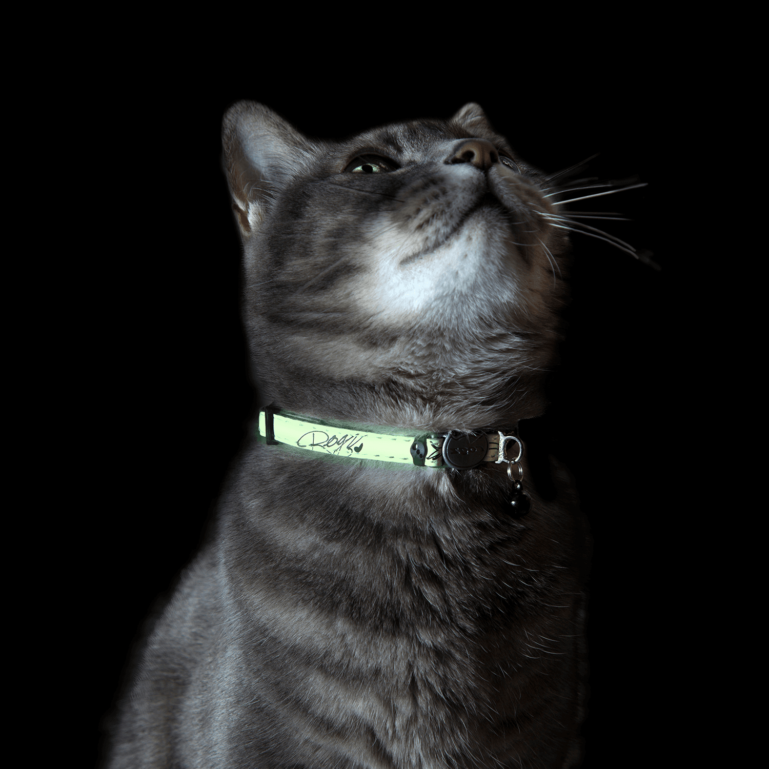 Rogz GlowCat