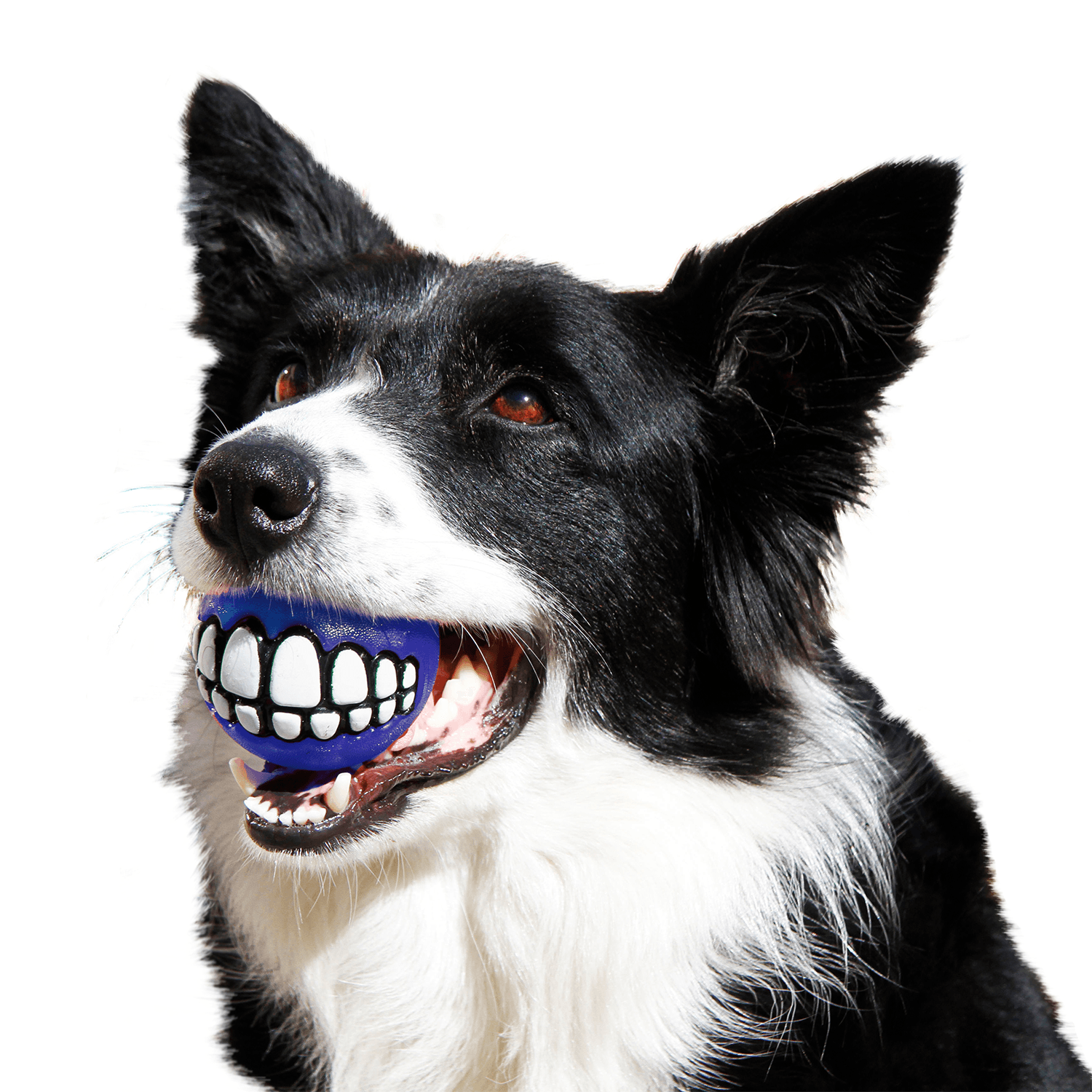 Rogz Grinz treat ball