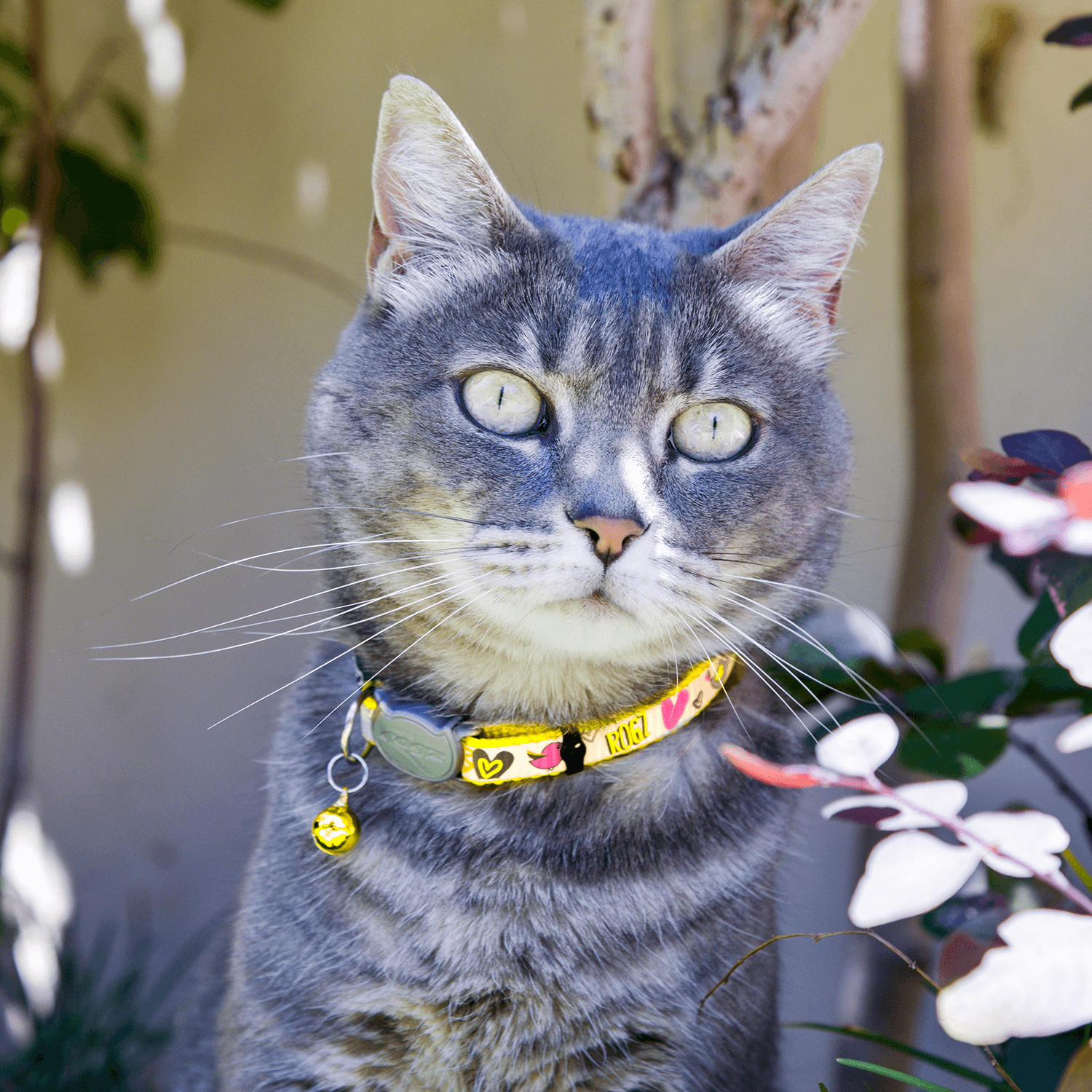 Rogz ReflectoCat