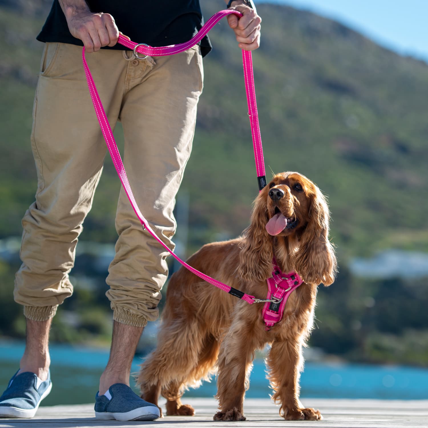 Rogz Utility Multi Lead