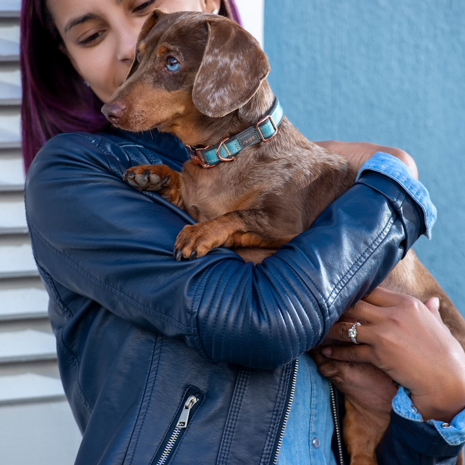 Rogz Urban Classis Collar
